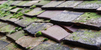 Buckland Marsh roof repair costs